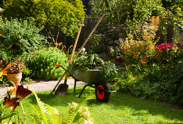 GARDEN SERVICES